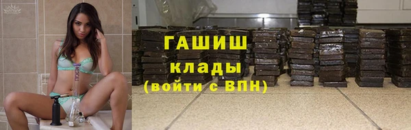 гашик Алексин