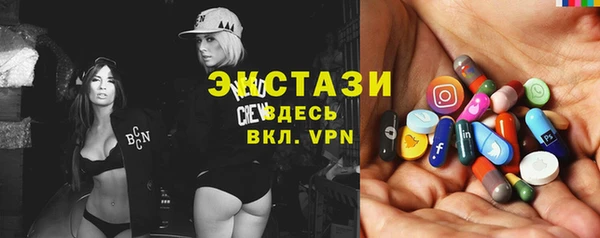 гашик Алексин
