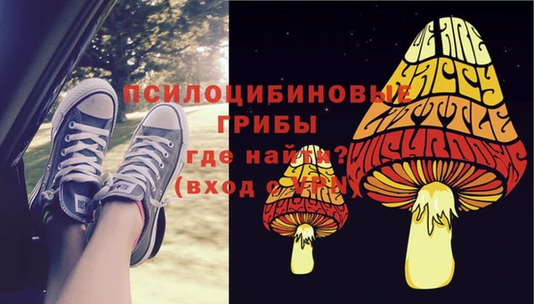 ГАЛЛЮЦИНОГЕННЫЕ ГРИБЫ Протвино