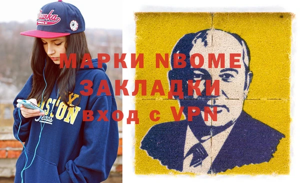 гашик Алексин