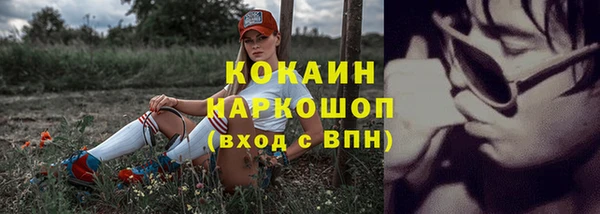 гашик Алексин