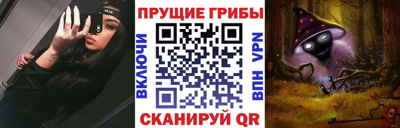 Псилоцибиновые грибы Psilocybe  Кяхта 